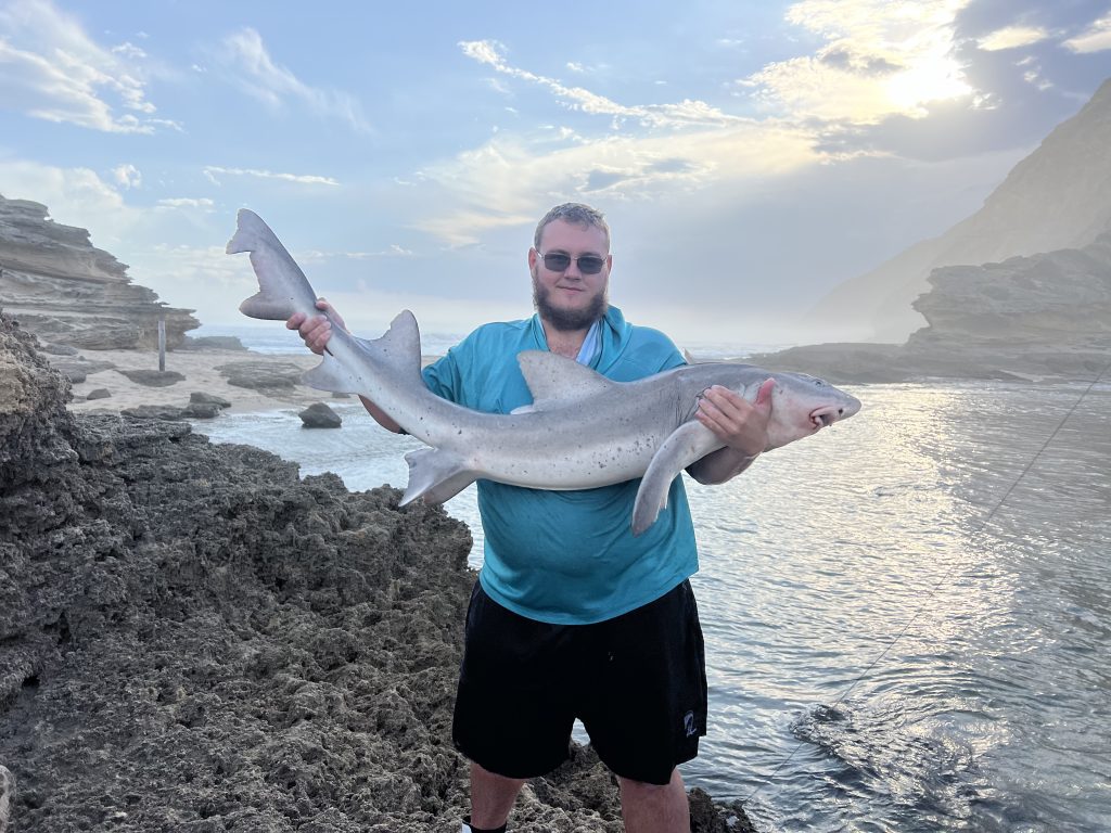 On a frosty winter day, with a gentle breeze whispering through the air, I decided to venture out for a leisurely outing. Despite the languid pace of the day, my journey took an unexpected turn as I found myself facing the icy waters of a nearby fishing spot. The challenge was daunting, and though I battled valiantly, three sharks slipped from my grasp.

However, amidst the trials, triumph awaited. With perseverance as my ally, I managed to reel in two magnificent catches—a male Spottie measuring an impressive 142 centimeters and a female stretching a staggering 162 centimeters. Both sharks, symbols of the ocean's majesty, were carefully tagged and returned to their watery realm, leaving me with a sense of accomplishment and reverence for the mysteries of the deep.